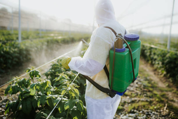  West Haven Sylvan, OR Pest Control Pros